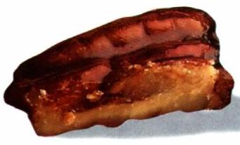 A Pecan Nut