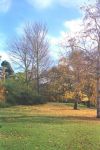 Botanic Gardens, Edinburgh