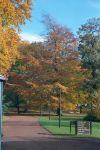 Botanic Gardens, Edinburgh