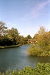 River Cam, nr Cambridge.