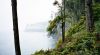 Juan de Fuca Marine Trail, (very wet), Vancouver Island, BC, Canada