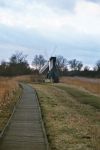 Wicken Fen