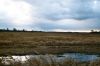 Wicken Fen