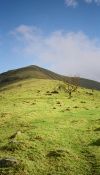 Up Lingmell