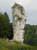 Hercules Bludgeon, Ojcw national park, Poland