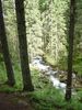 Source of Olczyski Potok, nr Zakopane, Poland