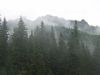 Tatra Mnts, nr. Zakopane, Poland