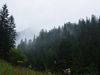 Tatra Mnts, nr. Zakopane, Poland